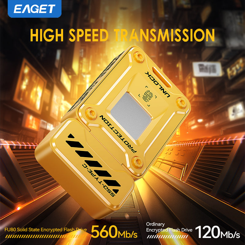 EAGET Fingerprint Encryption SSD, 128GB/512GB Type C High Speed Flash Drive