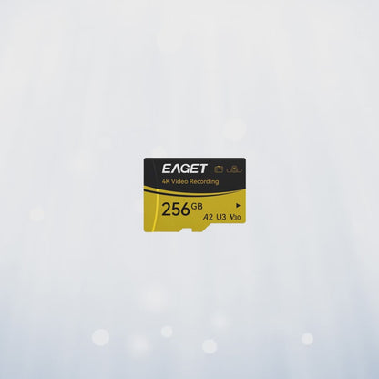 Micro SD Memory Card, A2 U3 V30, 512GB/256GB/128GB, 4K UHD, UHS-I, Up to 160/100MB/s Read/Write